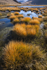 Obraz premium landscape