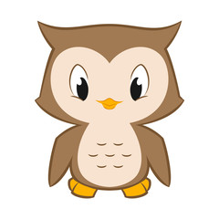 Little Owl
