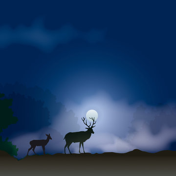 Faune - Cerf à la pleine lune