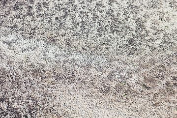 Sand surface after the rain