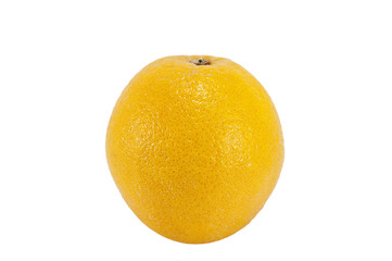 Orange fruit on white background