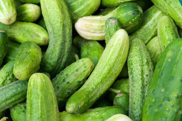 Cucumbers