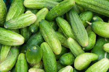 Cucumbers 1