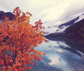 Autumn lake