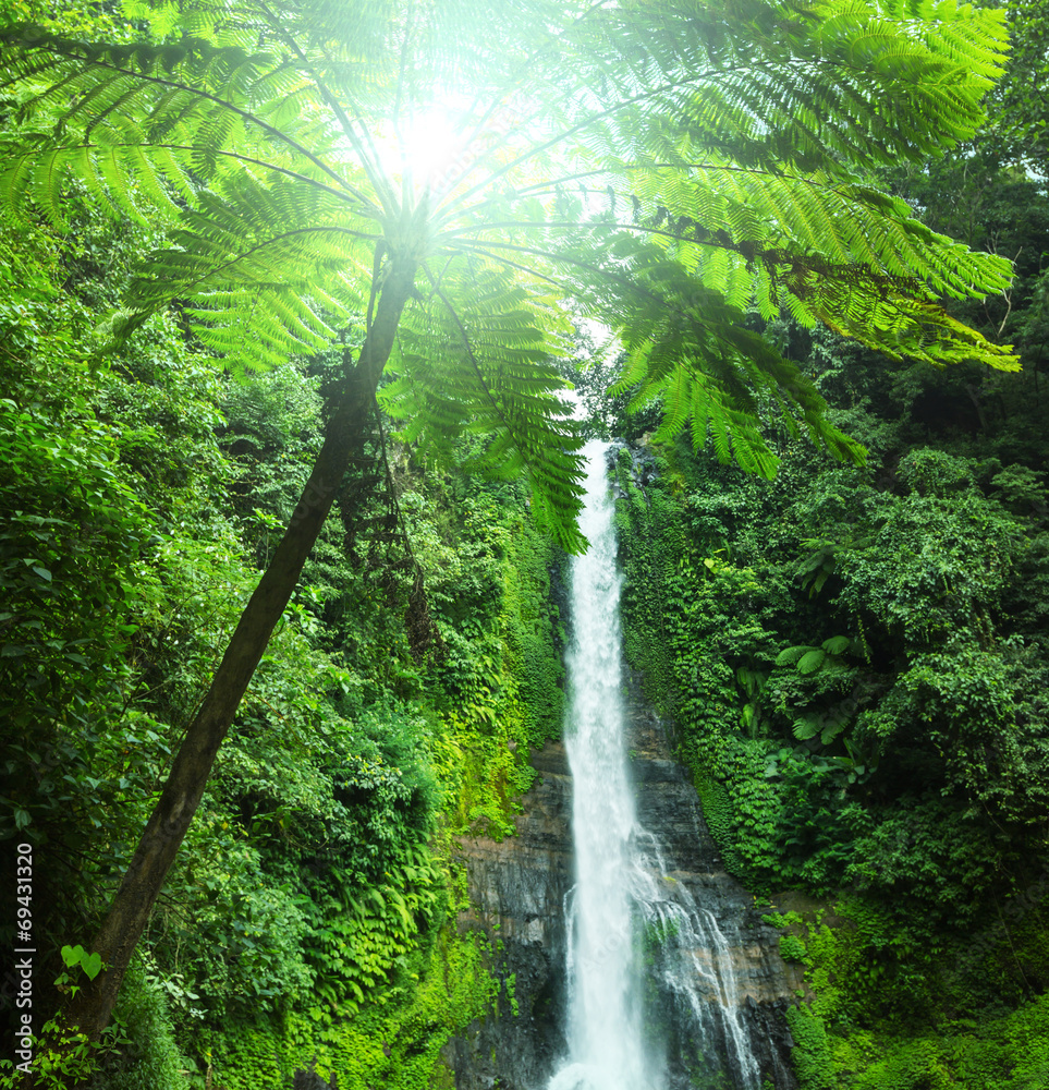 Poster waterfall in indonesia