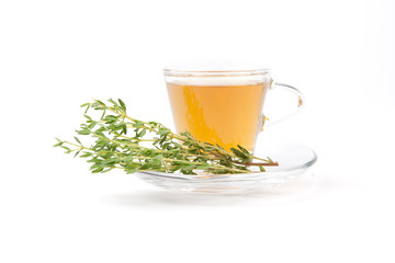 Thymiantee vor weißem Hintergrund mit frischen Kräutern