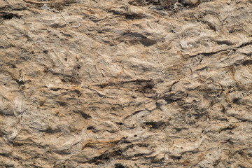 Dried seaweed background