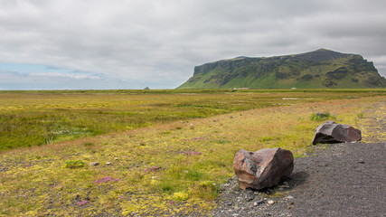 Campagne champs nature islandais Islande