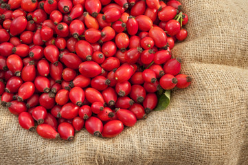 Dog rose Fruits On Jute - DSC1650-1652