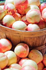 Peaches displayed in baskets