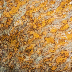 Dirty Iron Rusty texture .