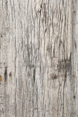 Fototapeta premium faded