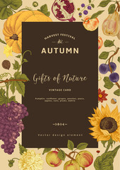 Autumn harvest. Vector vintage card.