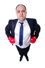 Young businessman boxer isolated on white