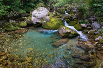 Naklejka na ściany i meble Creek in Valle Pesio