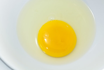 Egg yolk closeup isolated