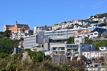 Fototapeta na wymiar Property in Wellington - New Zealand
