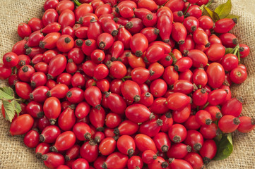 Dog rose Fruits On Jute - DSC1565