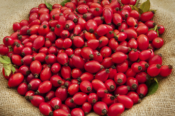 Dog rose Fruits On Jute - DSC1552-1557