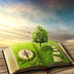 Obraz premium Book of life concept, dreamland