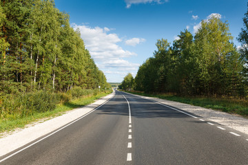  paved road through the forest