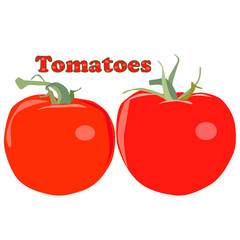 Tomatoes vector