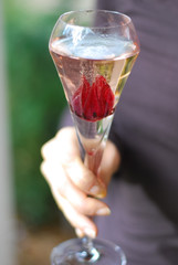 Champagne et fleur comestible