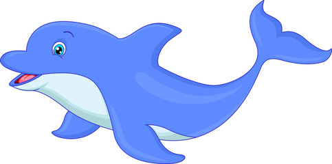 cute dolphin