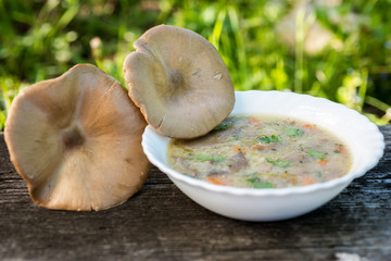 Mushroom Soup