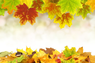Herbst 57