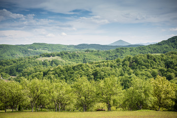 View from orchards