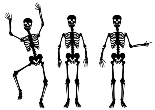 SAMMLUNG: Menschliches Skelett, hindeuten, tanzend, schwarz
