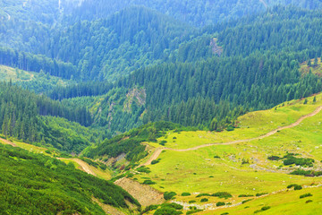 Fototapeta premium Parang Mountains, Romania