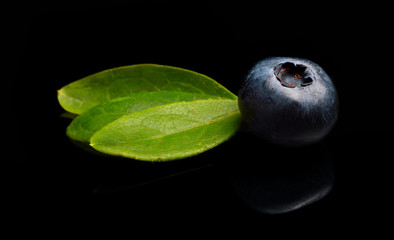 Studio shot fresh blueberries with leaves isolated black