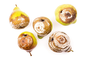 Group of rotten pears