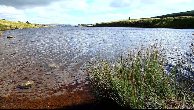grassholme reservoir uk