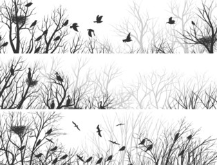Horizontal banners of forest with tree branches and birds.
