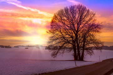 Obraz na płótnie Canvas Winter Sunset