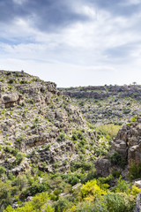 Oman Wadi Bani Habib