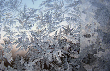 frozen winter window