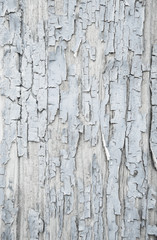 Shabby Chic: Holz Hintergrund, Struktur, Textur in Grau