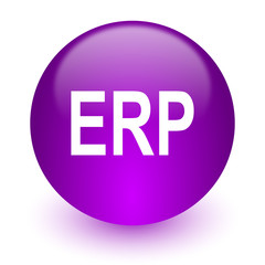 erp internet icon