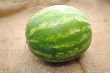 Fresh Harvested Whole Watermelon on Burlap