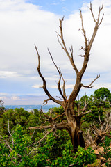 Colorado National Monument scenery