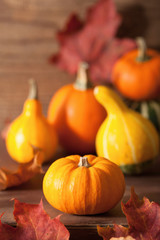 decorative pumpkins and autumn leaves for halloween