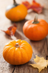 decorative pumpkins and autumn leaves for halloween