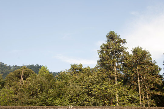 landscape of Jinggang mountain