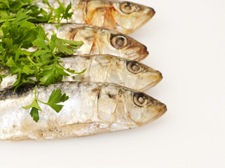 Fresh sardines with parsley leaves