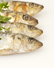 Fresh sardines with parsley leaves