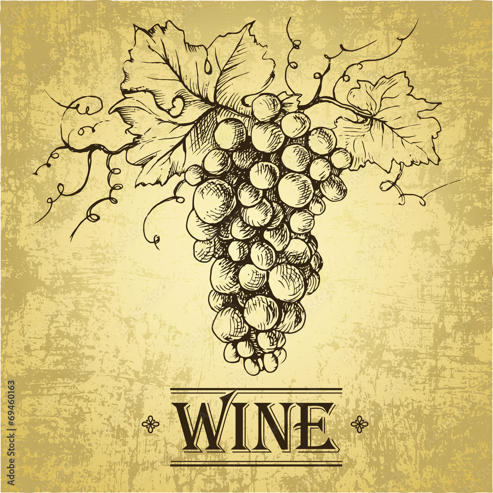 Poster wine label with grapes . bunch of grapes